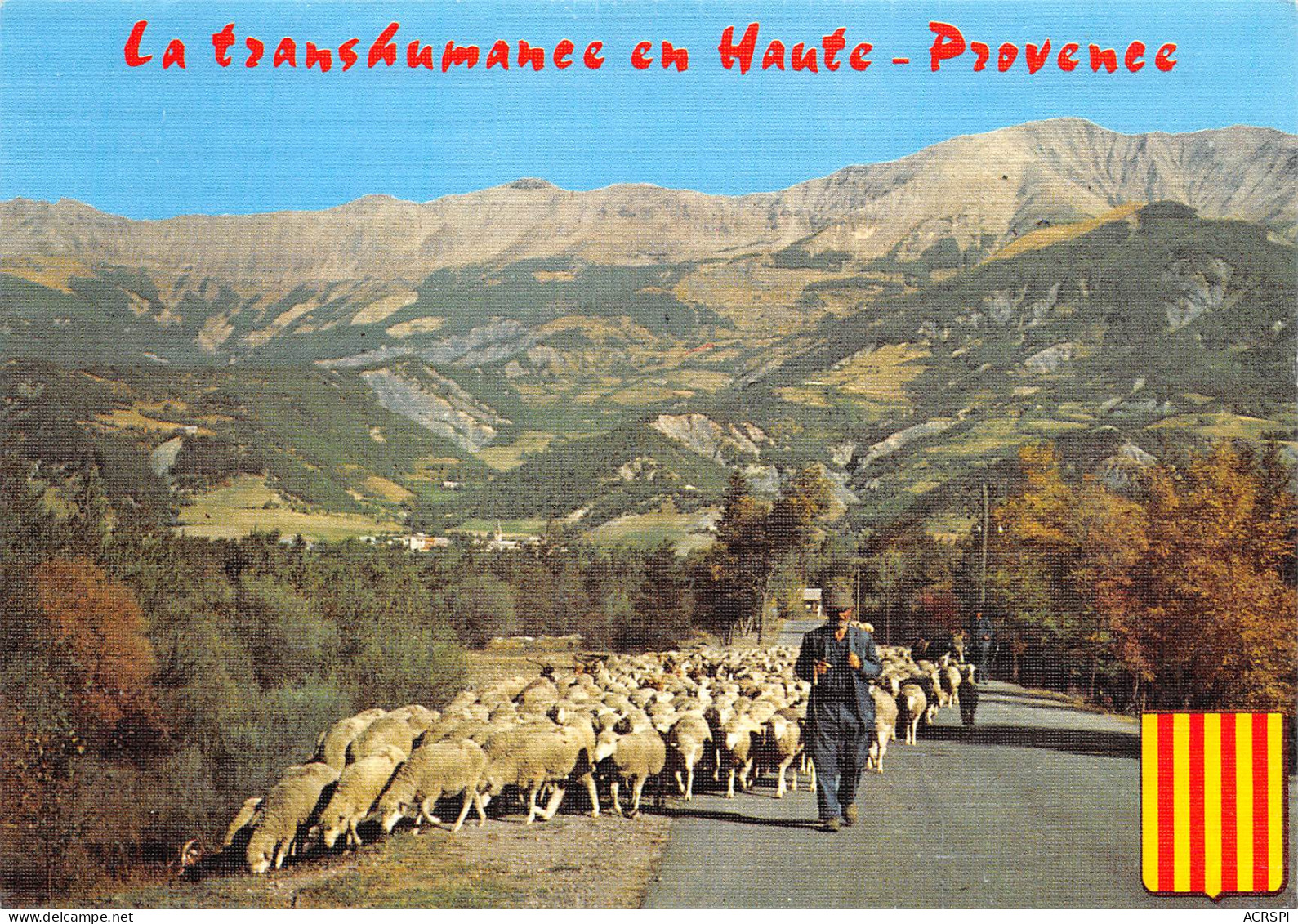 04 GREOUX Transumance En Haute Provence    N° 102 \ML4001 - Castellane