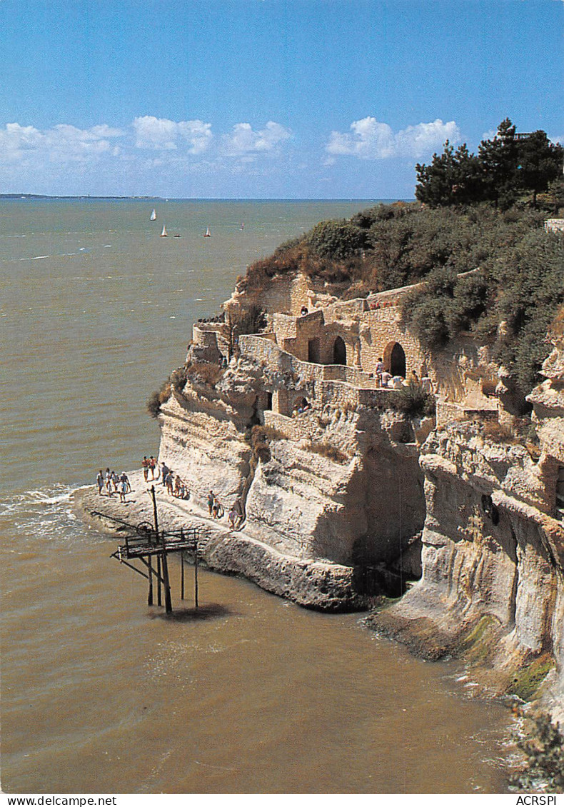 17 MESCHERS-sur-Gironde  Falaises Et Grottes Troglodytes Sur L'estuaire De La Gironde   N° 19 \ML4007 - Meschers