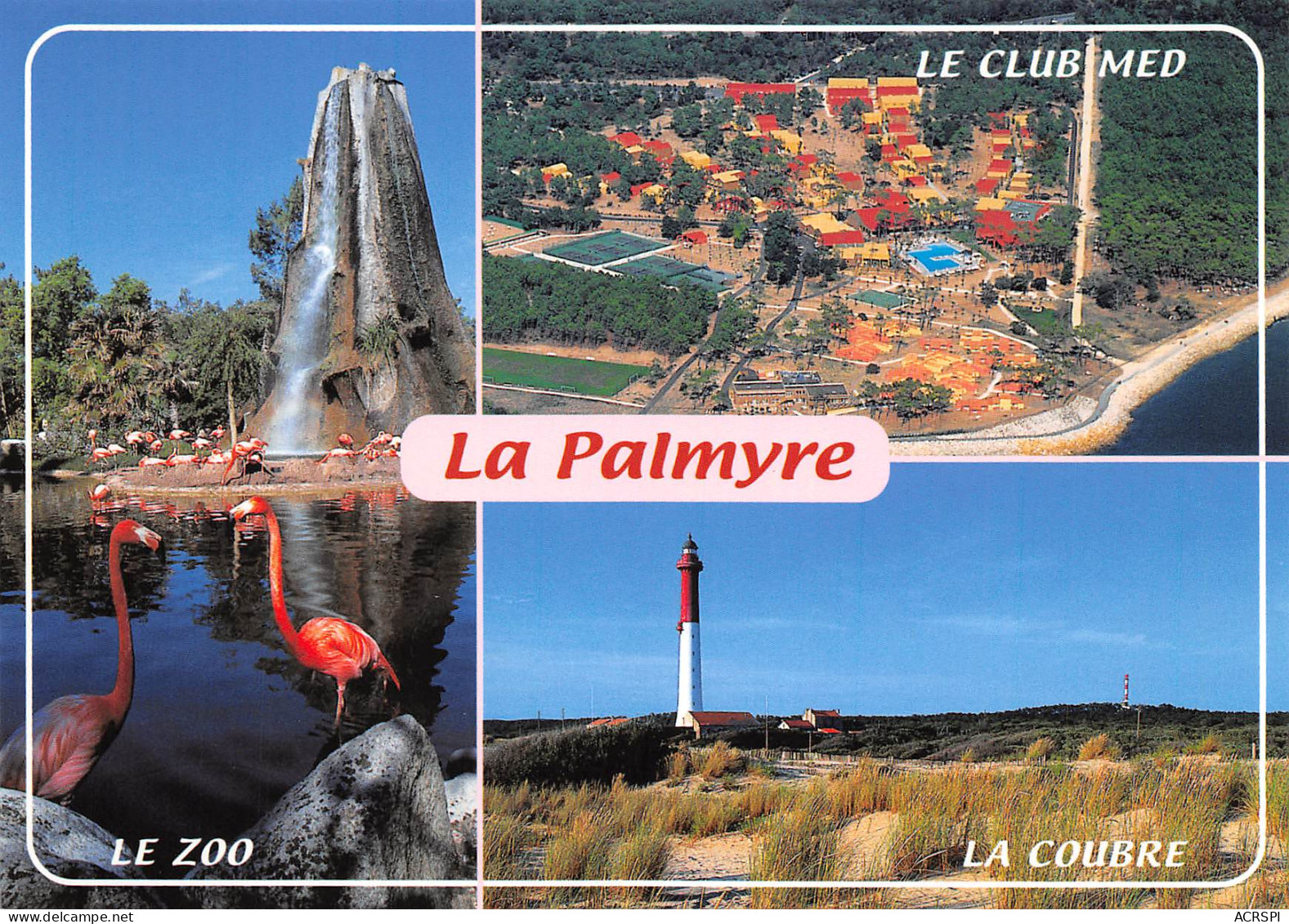 17 Les Mathes La Palmyre Zoo Club Med Phare    N° 57 \ML4008 - Les Mathes