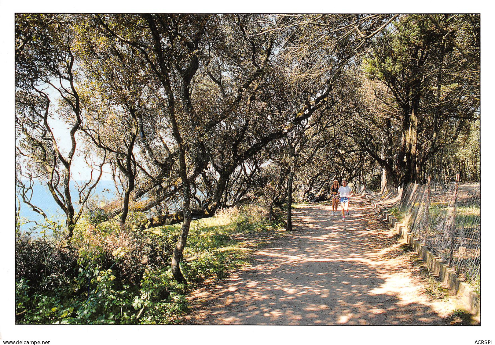 17 Saint-Palais-sur-Mer  Pierrières Le Chemin Des Yeuses Vers La Plage Du PLATIN   N° 32 \ML4009 - Saint-Palais-sur-Mer