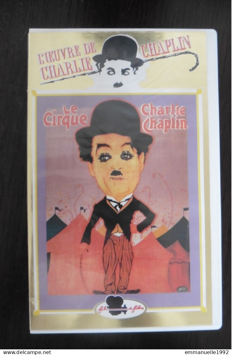 VHS Films Le Cirque 1928 Une Journée De Plaisir 1919 - Charlie Chaplin Muet - Classic