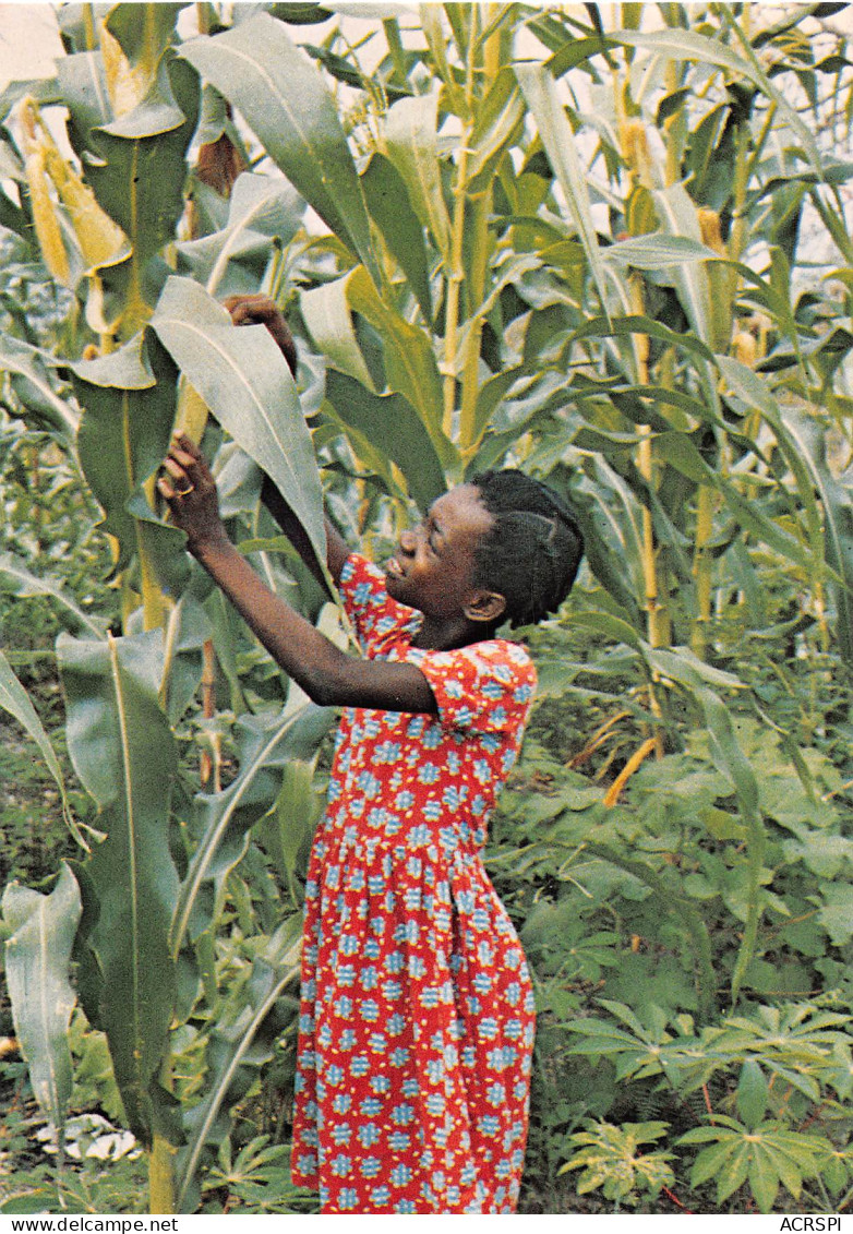 GABON LAMBARENE Fillette Dans Une Plantation De Mais   N° 26 \ML4019 - Gabon
