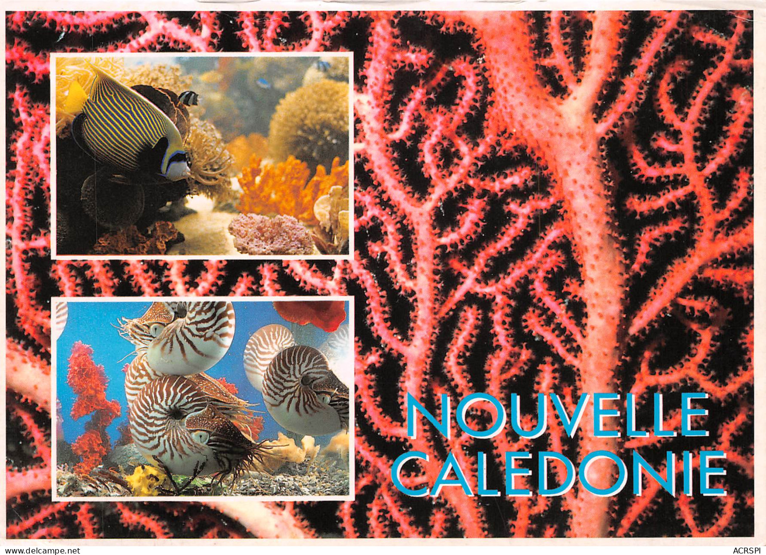 NOUVELLE CALEDONIE  Merveilles Du Lagon  éd Solaris Nouméa     (Scans R/V) N° 26 \ML4040 - Nouvelle Calédonie