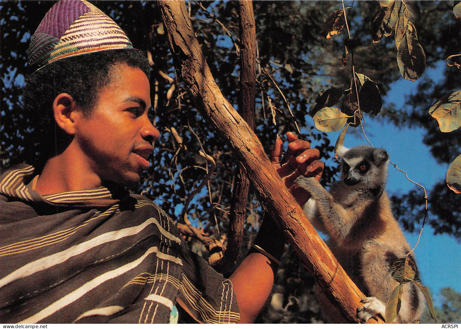 MADAGASCAR  Jeune Antandroy Et Lemur Catta Du Sud  Antananarivo   (Scans R/V) N° 77 \ML4041 - Madagascar
