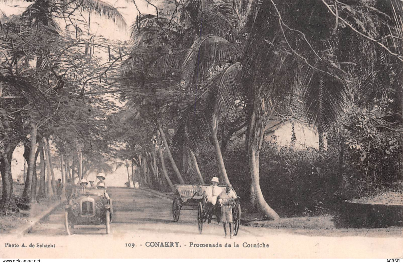 Guinée Française Conakry  Promenade Sur La Corniche Joli Timbre Au Dos  (Scans R/V) N° 49 \ML4050 - French Guinea