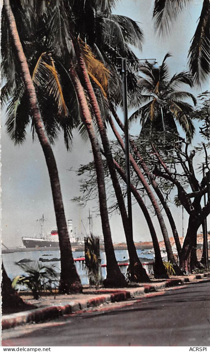 Guinée Française Conakry  Un Coin De La Corniche Joli Timbre Au Dos  (Scans R/V) N° 50 \ML4050 - French Guinea