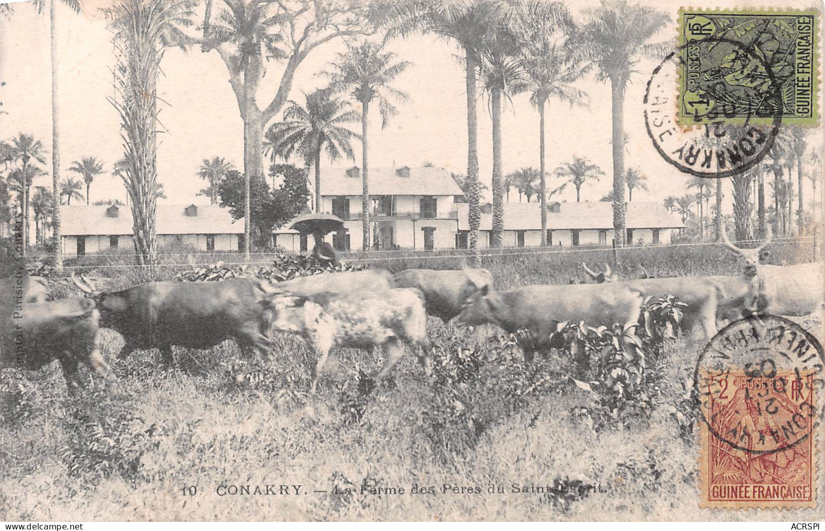 CONAKRY Guinée Française La Ferme Des Peres Du St Esprit (Scans R/V) N° 24 \ML4053 - Französisch-Guinea