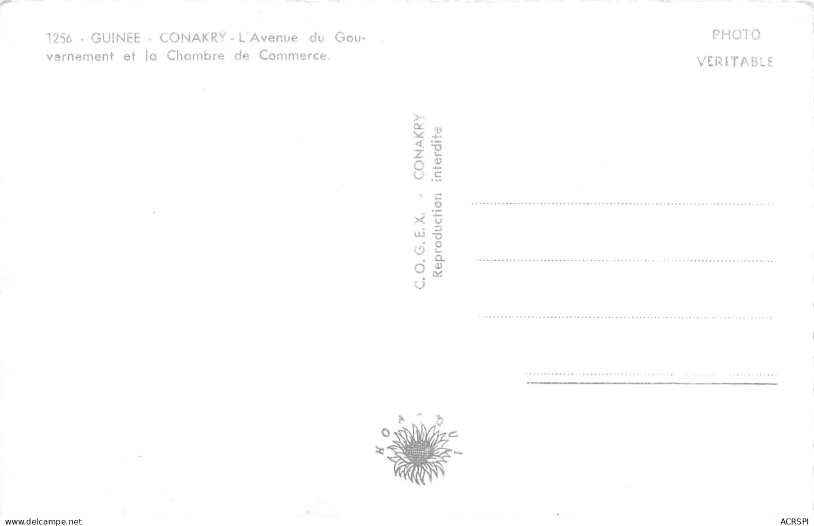 CONAKRY Guinée Française L'avenue Du Gouvernement Et La Chambre De Commerce Carte Vierge  (Scans R/V) N° 34 \ML4054 - Frans Guinee