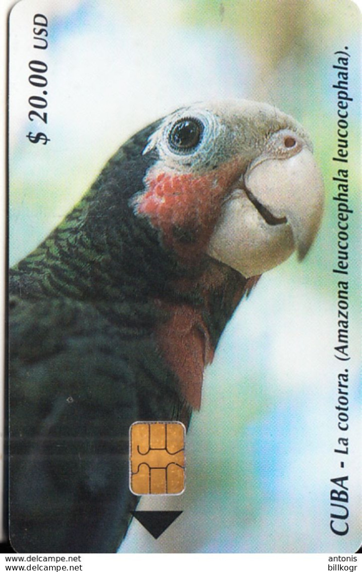 CUBA - Parrot, La Cotorra, Tirage 30000, 06/02, Used - Cuba