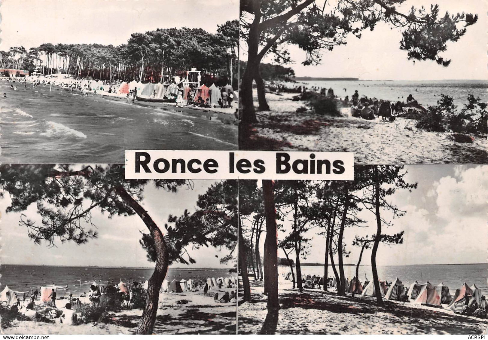 17 Ronce-les-Bains  La Tremblade Multivue (Scans R/V) N° 54 \ML4068 - La Tremblade