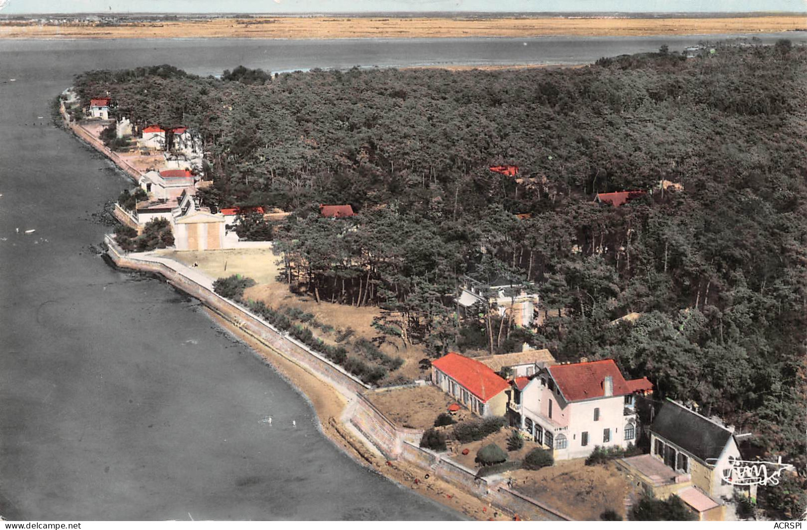 17 Ronce-les-Bains  La Tremblade Vue Panoramique (Scans R/V) N° 63 \ML4068 - La Tremblade