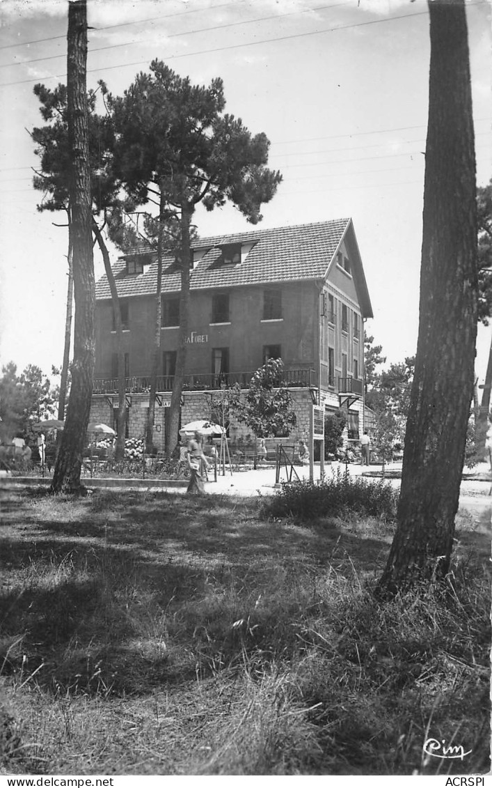 17 île D' Oléron SAINT TROJAN LES BAINS  Hotel Restaurant LA FORET Carte Vierge (Scans R/V) N° 15 \ML4069 - Ile D'Oléron