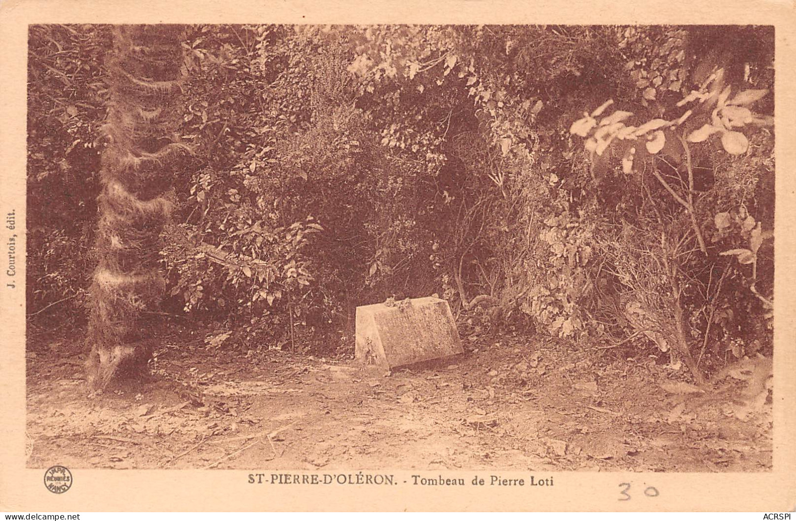 17 île D' Oléron SAINT PIERRE  Le Tombeau De Pierre LOTI  Carte Vierge  (Scans R/V) N° 49 \ML4069 - Saint-Pierre-d'Oleron