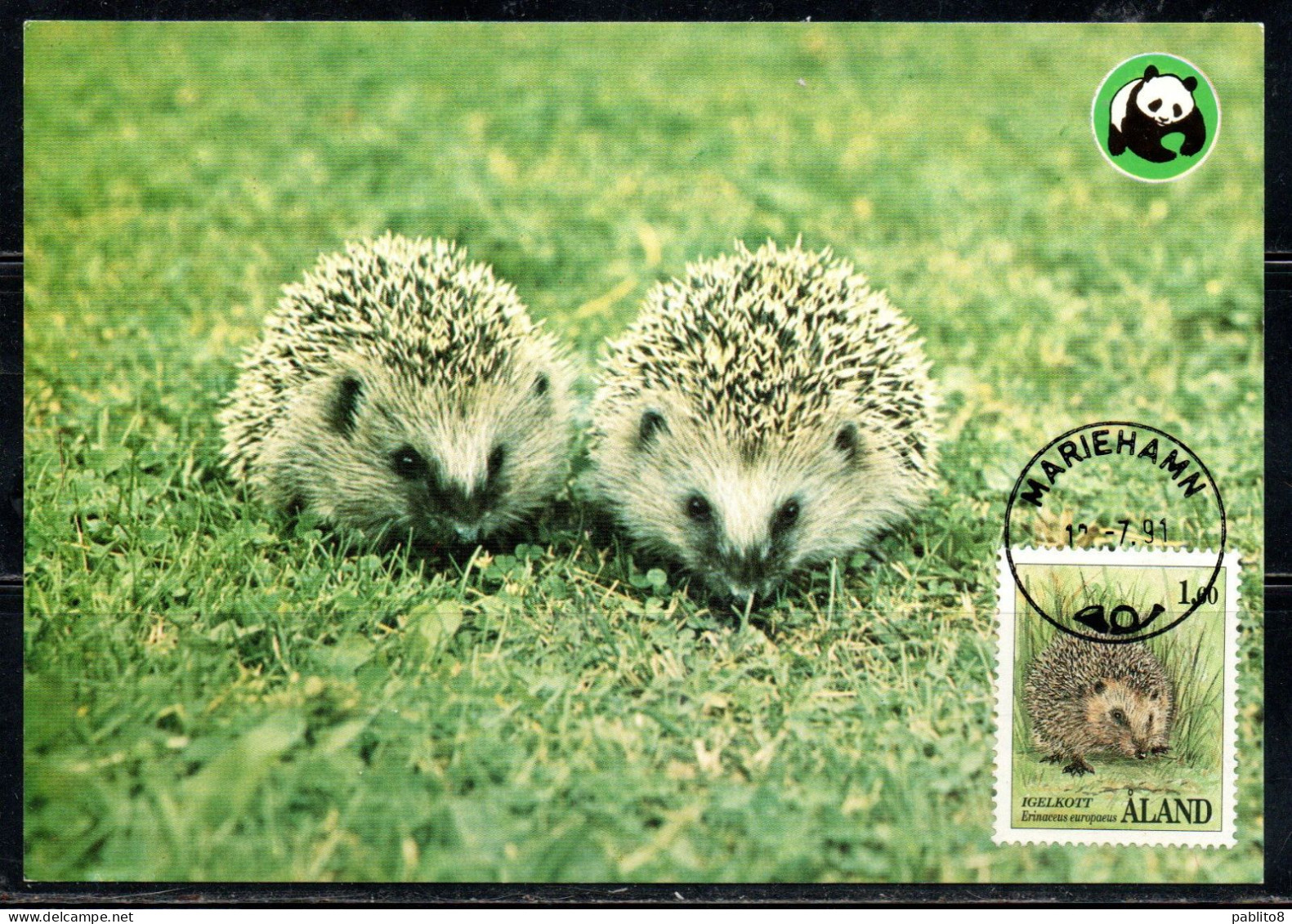 ALAND 1989 1994 1991 FAUNA ANIMALS ERINACEUS EUROPAUUS 1.60m MAXI MAXIMUM CARD CARTE - Aland