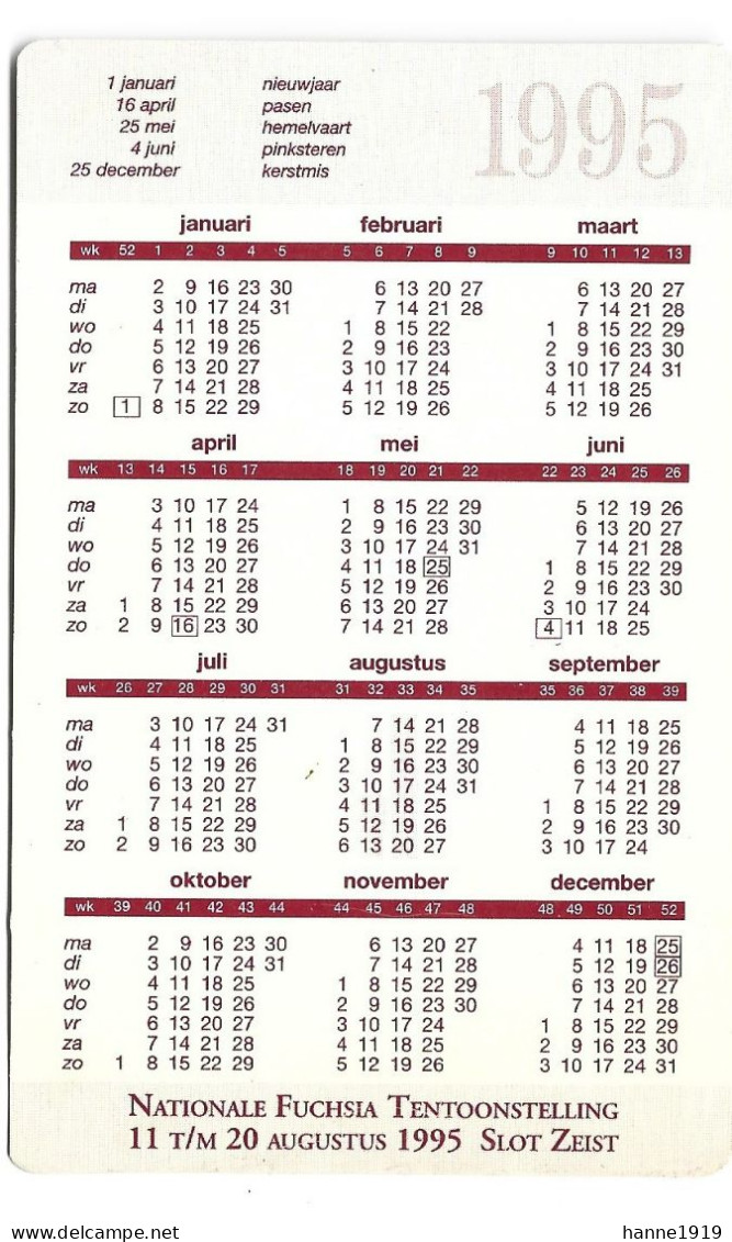 Slot Zeist Nationale Fuchsia Tentoonstelling Kalender 1995 Calendrier Htje - Petit Format : 1991-00