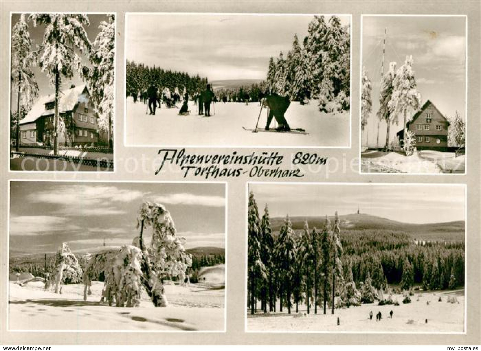 73335426 Torfhaus Harz Alpenvereinshuette Winterlandschaft Skifahrer Torfhaus Ha - Altenau