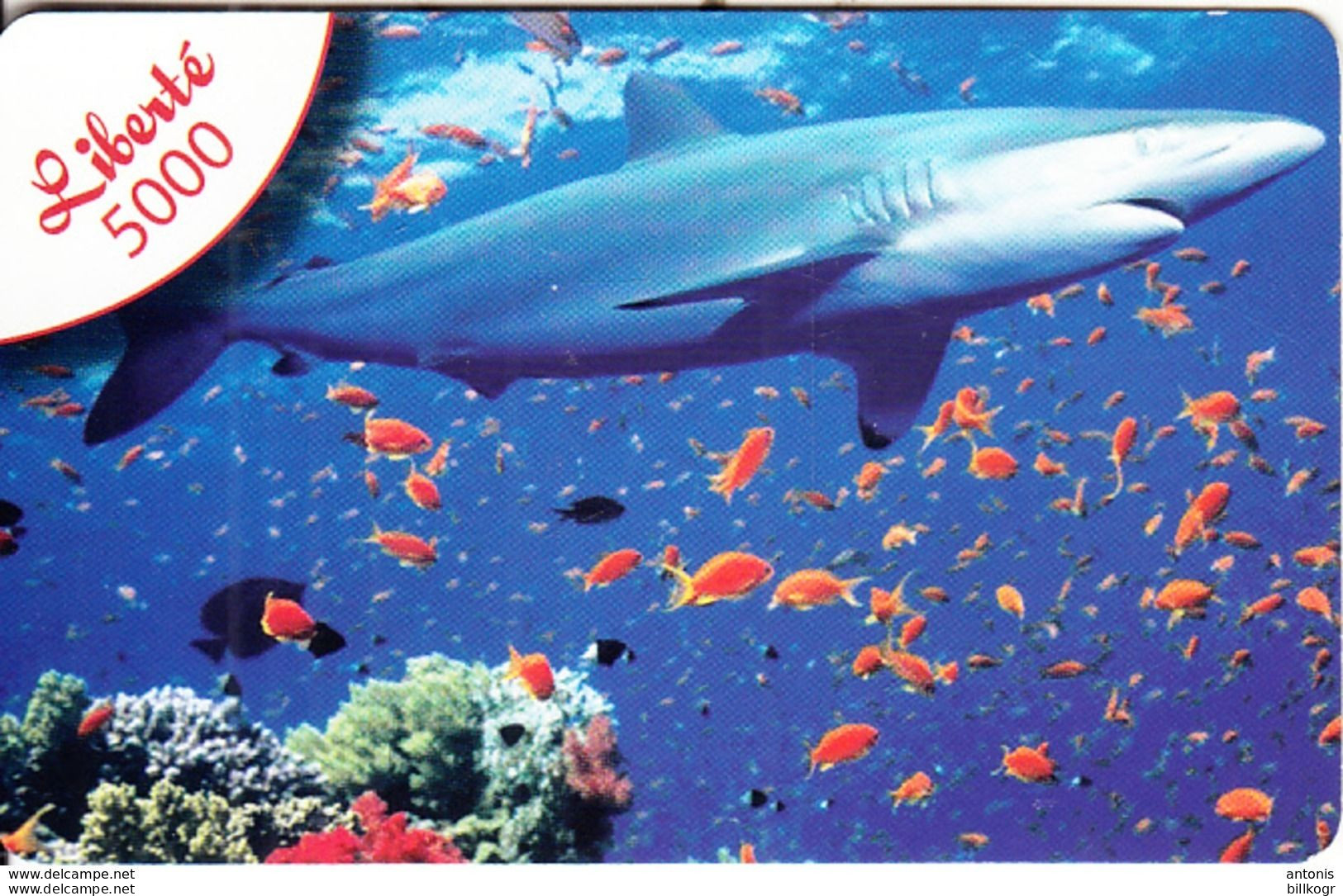 NEW CALEDONIA - Shark, Liberte By OPT Prepaid Card 5000 CFP, Exp.date 31/12/09, Used - Neukaledonien