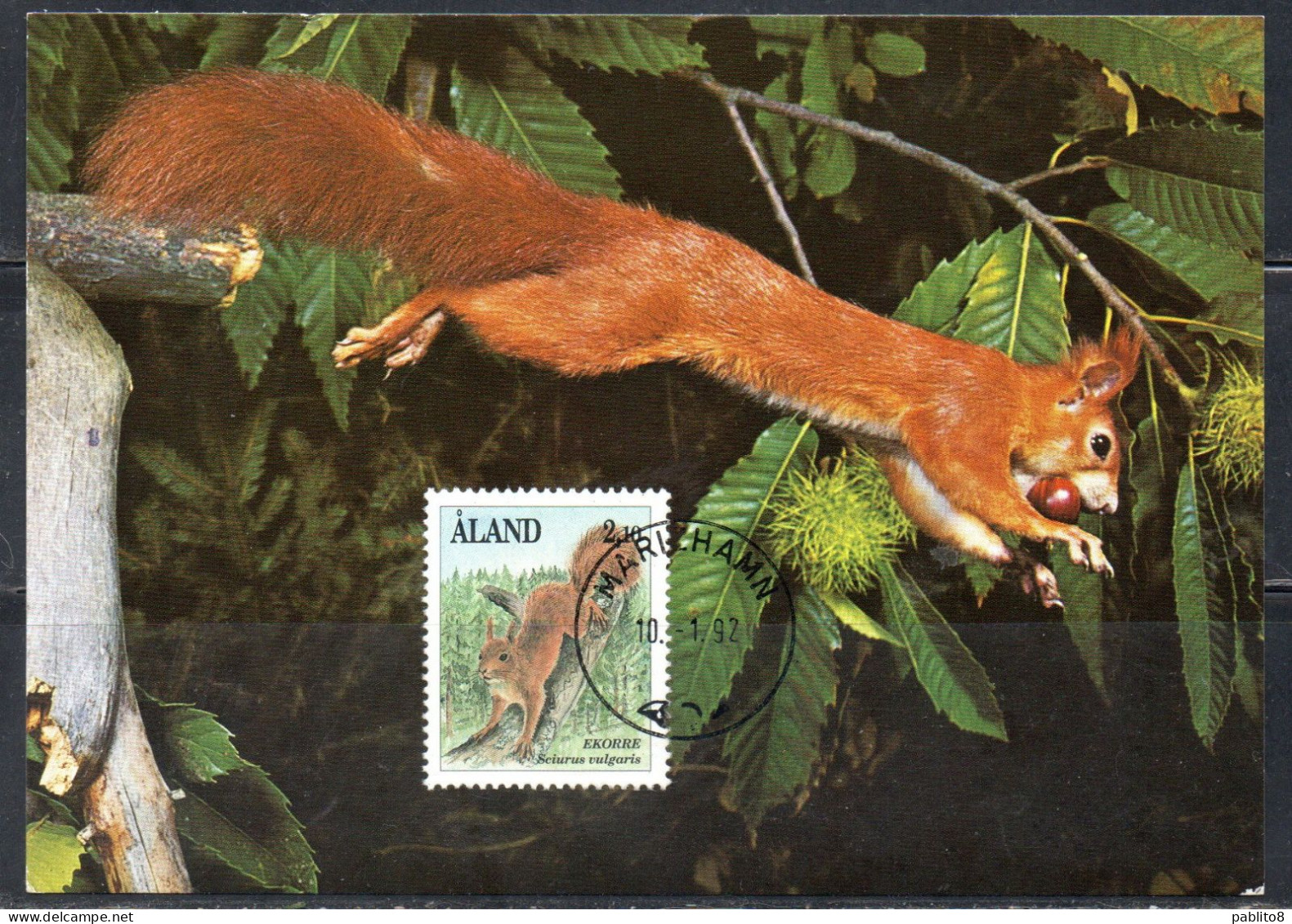 ALAND 1989 1994 1992 FAUNA ANIMALS SCIURUS VULGARIS 2.10m MAXI MAXIMUM CARD CARTE - Aland