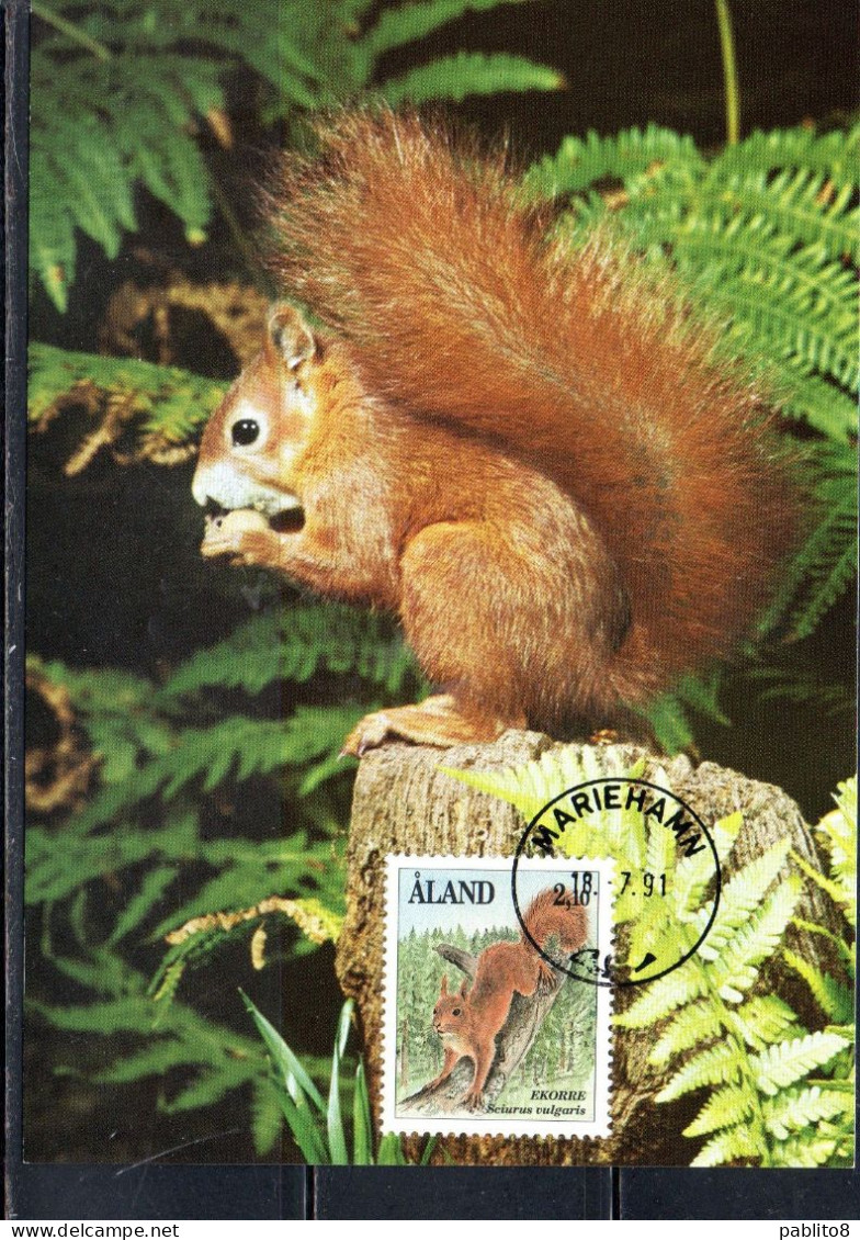 ALAND 1989 1994 1992 FAUNA ANIMALS SCIURUS VULGARIS 2.10m MAXI MAXIMUM CARD CARTE - Ålandinseln