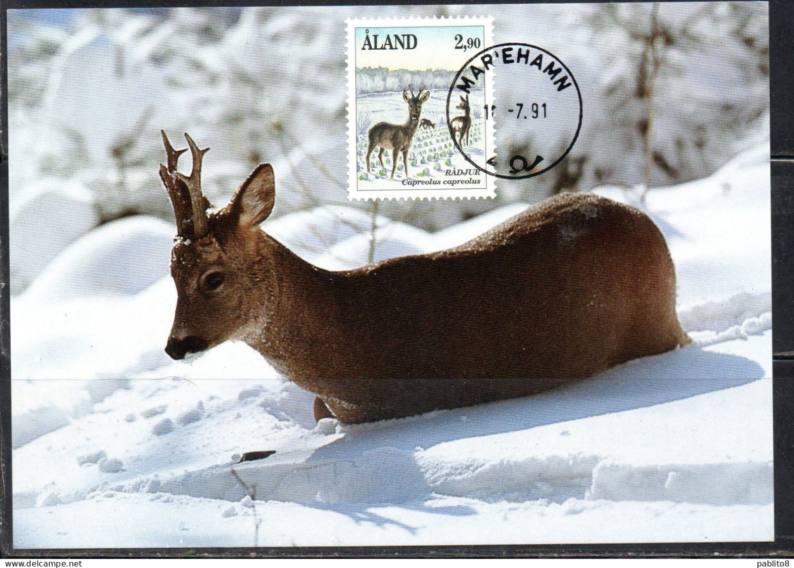 ALAND 1989 1994 1992 FAUNA ANIMALS CAPREOLUS 2.90m MAXI MAXIMUM CARD CARTE - Aland