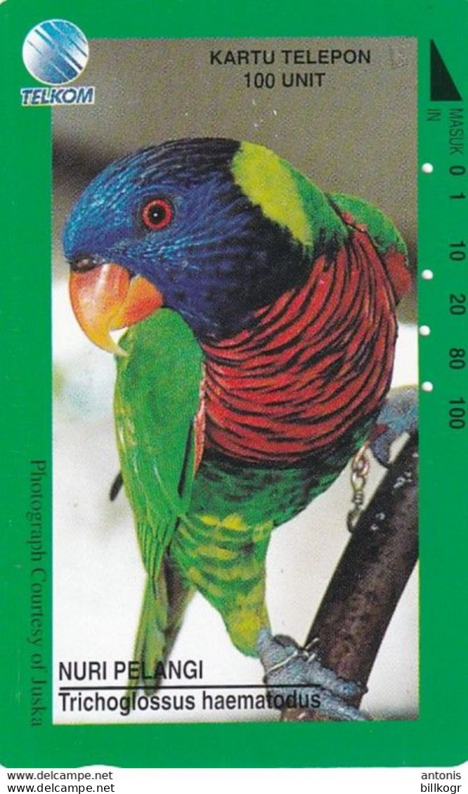 INDONESIA - Parrot, 11/95, Used - Indonesia
