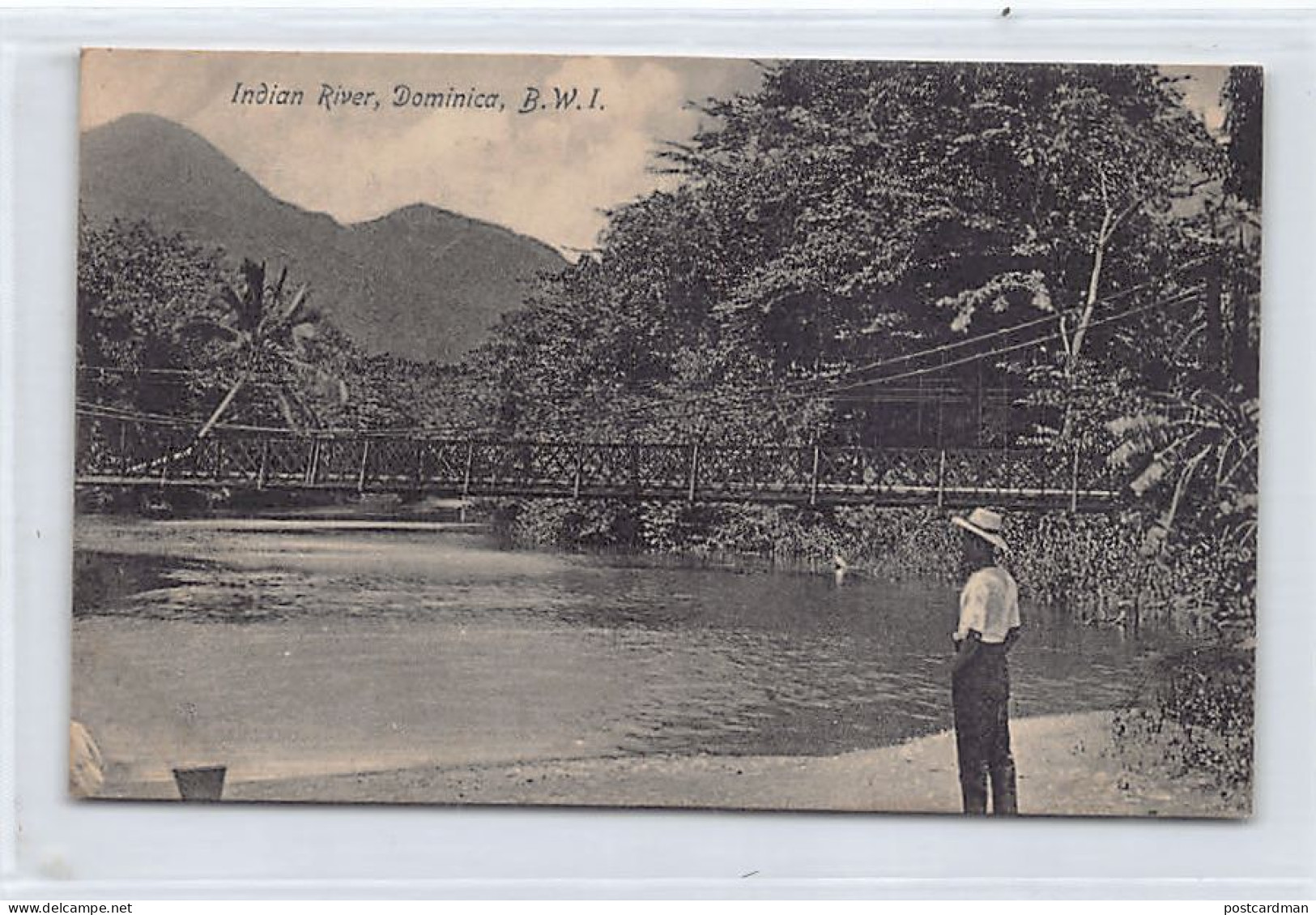 DOMINICA - Indian River - Publ. J. R. H. Bridgewater  - Dominica