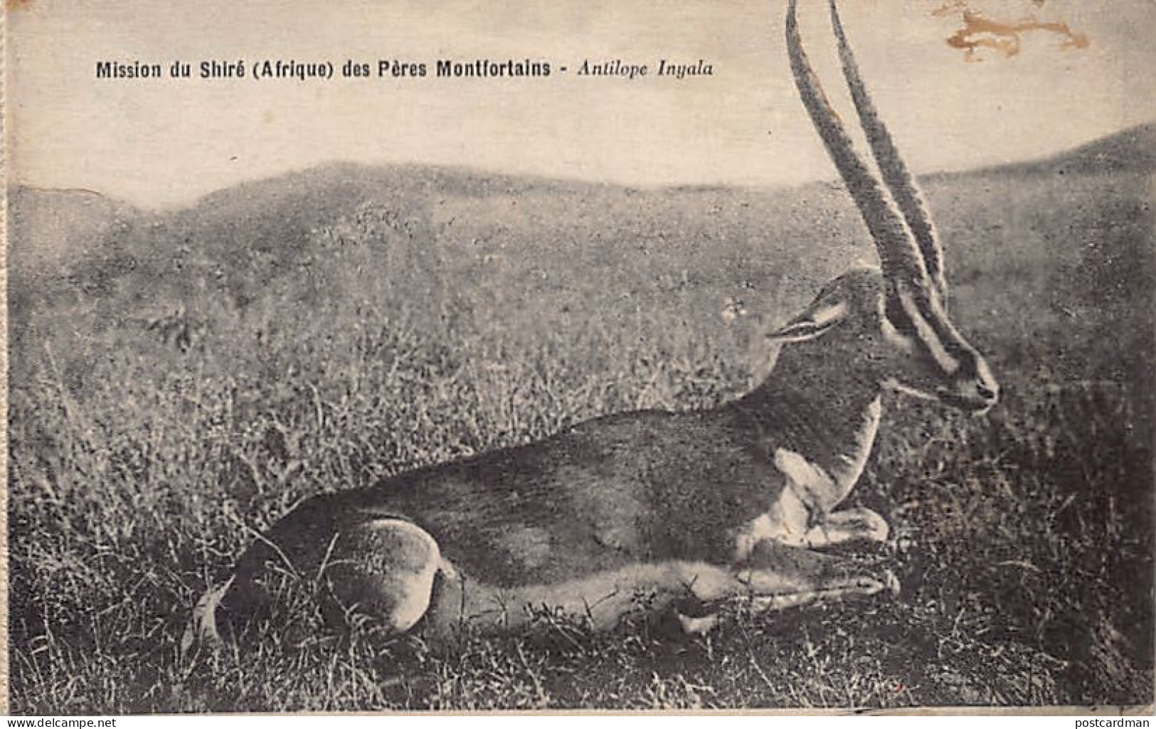 Malawi - Antelope Inyala - Publ. Mission Of The Shire Of The Montfort Fathers - Malawi