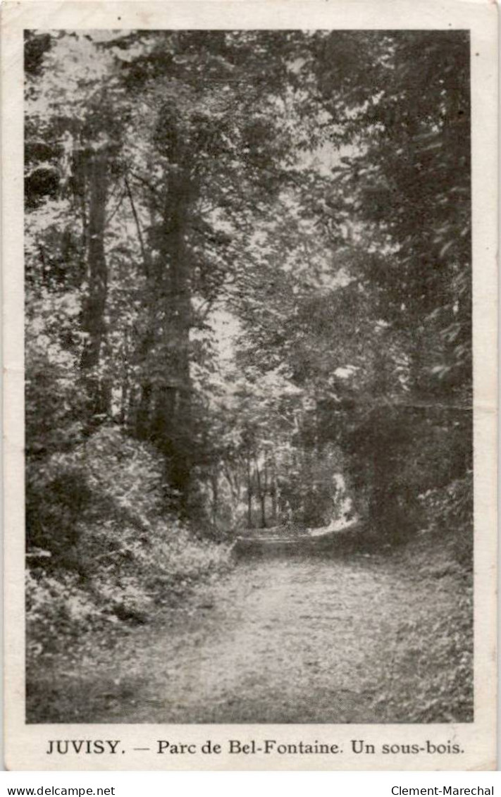 JUVISY-sur-ORGE: Parc De Bel-fontaine, Un Sous-bois - état - Juvisy-sur-Orge