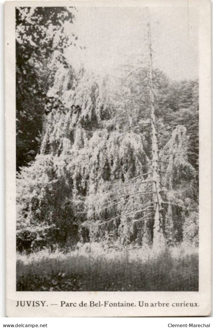 JUVISY-sur-ORGE: Parc De Bel-fontaine, Un Arbre Curieux - Très Bon état - Juvisy-sur-Orge