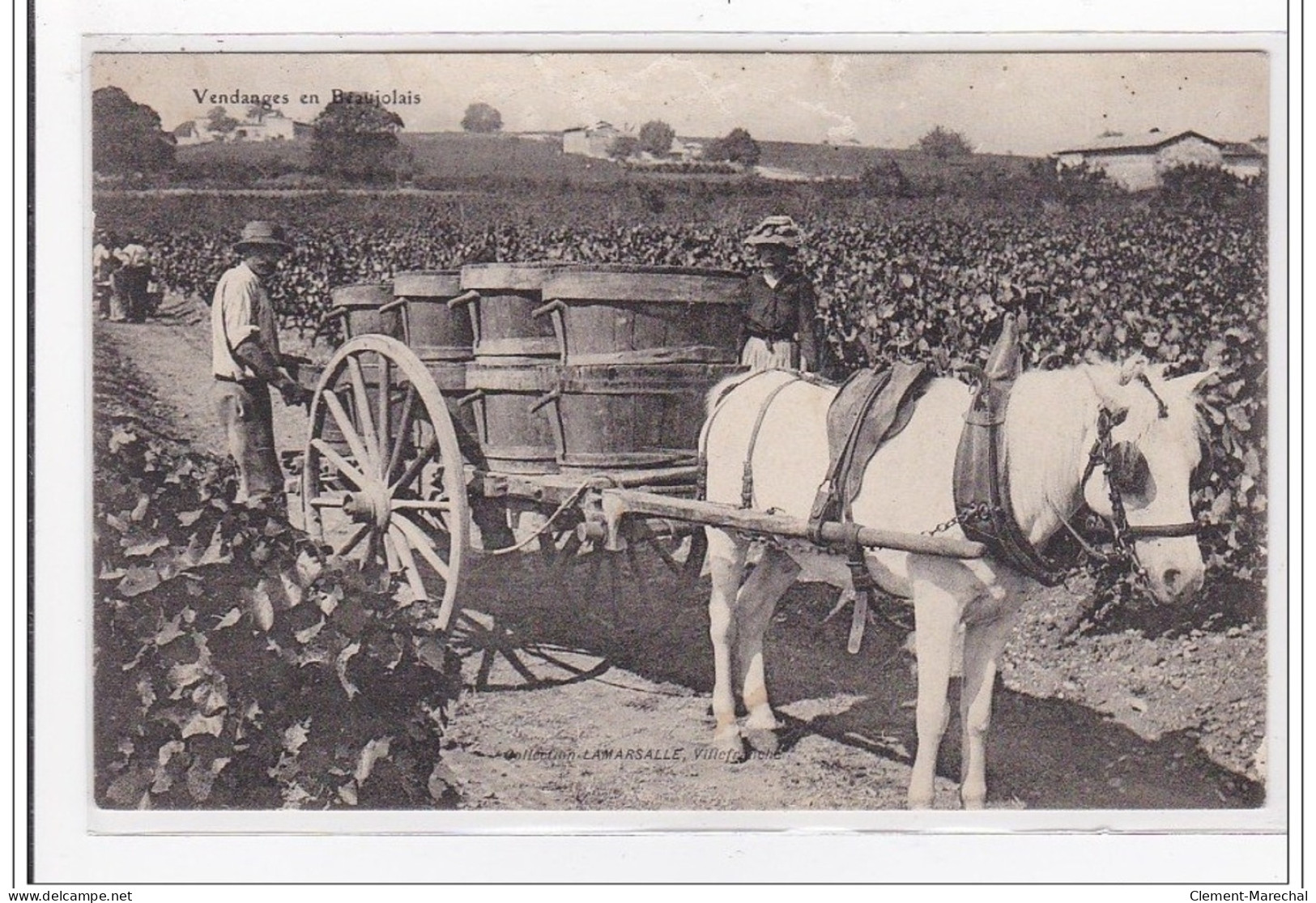 LAMARSALLE : Vendanges - Tres Bon Etat - Villefranche-sur-Saone