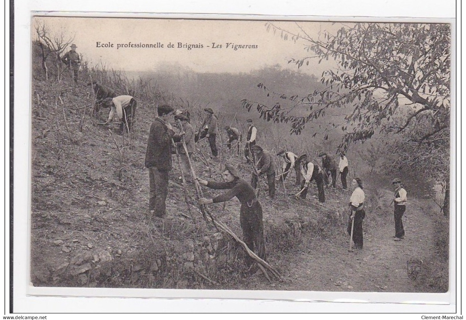 BRIGNAIS : Ecole Professionnelle De Brignais, Les Vignerons - Tres Bon Etat - Brignais