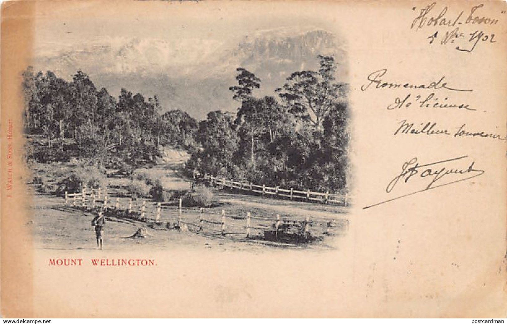 Mount Wellington (TAS) See Scans For Condition - Publ. J. Walch & Sons  - Other & Unclassified