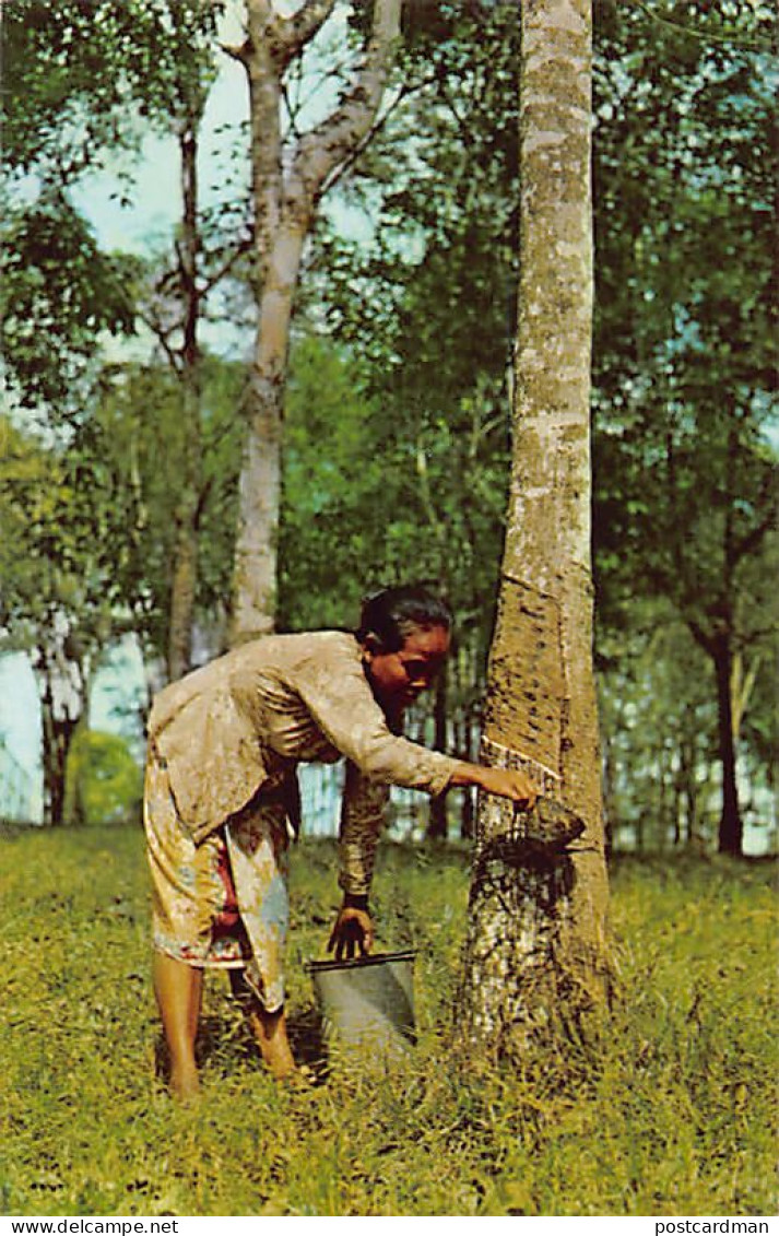 Malaysia - Malayan Woman Tapping Rubber - Publ. Max H. Hilckes 101 - Malesia