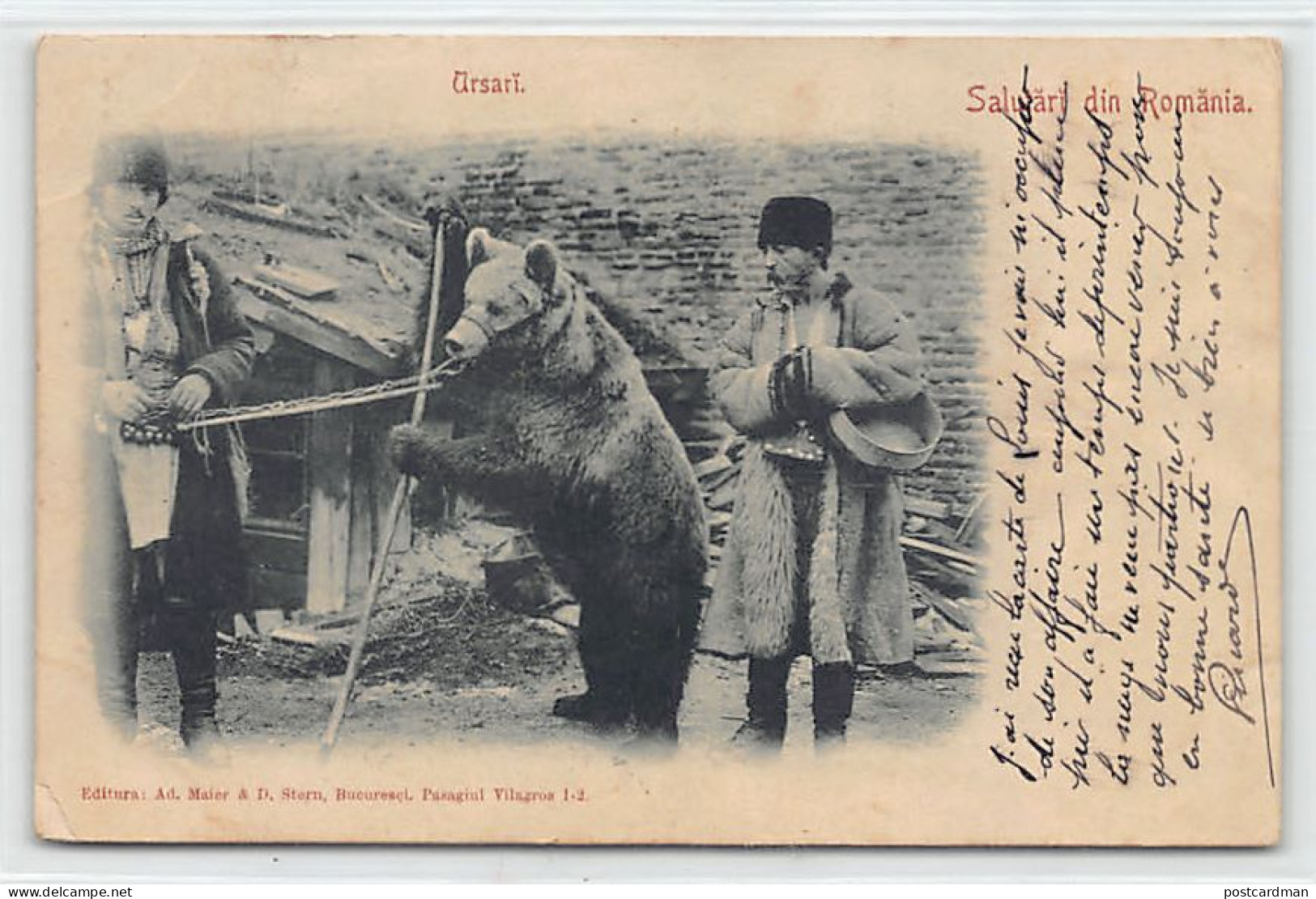 Romania - Ursari ) Dancing Bear - Montreur D'ours - Ed. Ad. Maier & D. Stern - Rumänien