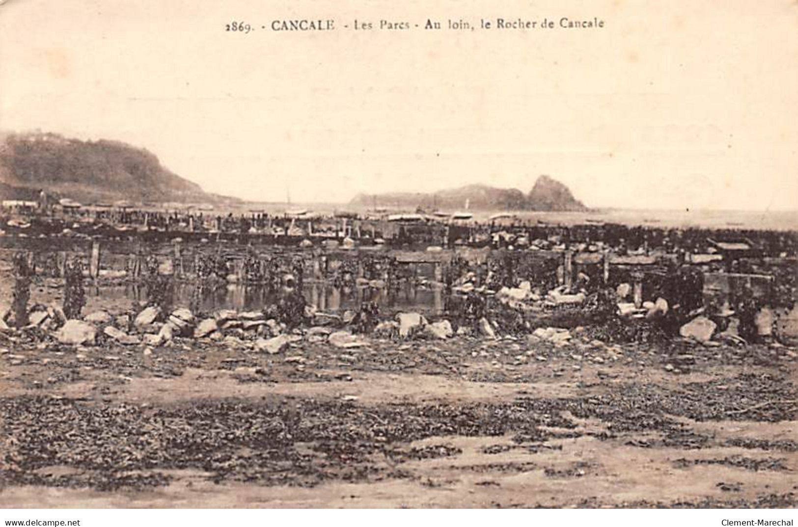 CANCALE - Les Parcs - Au Loin, Le Rocher De Cancale (huitres - Regate - Grand Pardon Des Pecheurs)- Très Bon état - Cancale