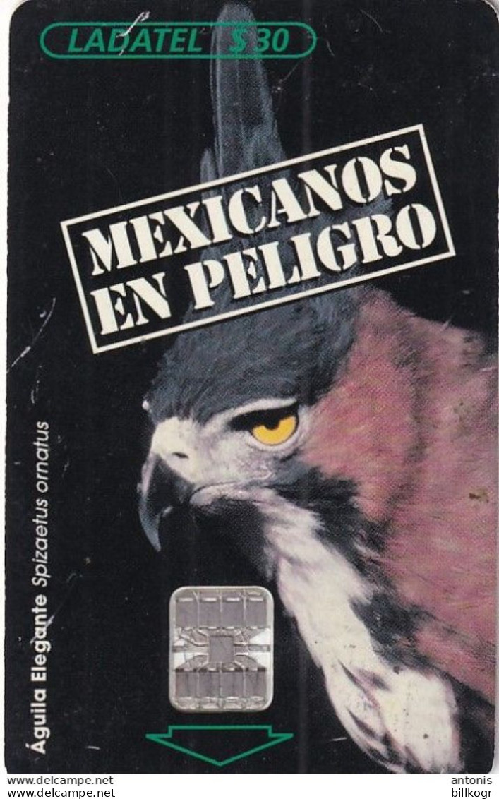 MEXICO - Eagle, Águila Elegante, CN : 0159, Used - Mexico