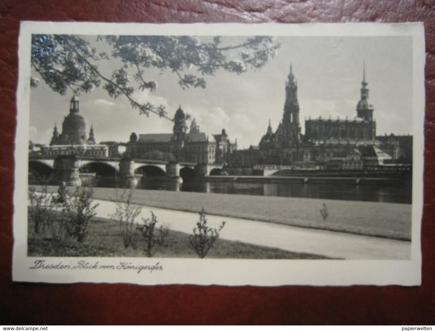 Dresden - Vom Königsufer - Dresden