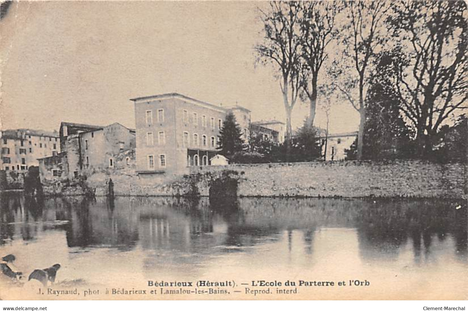 BEDARIEUX - L'Ecole Du Parterre Et L'Orb - Très Bon état - Bedarieux