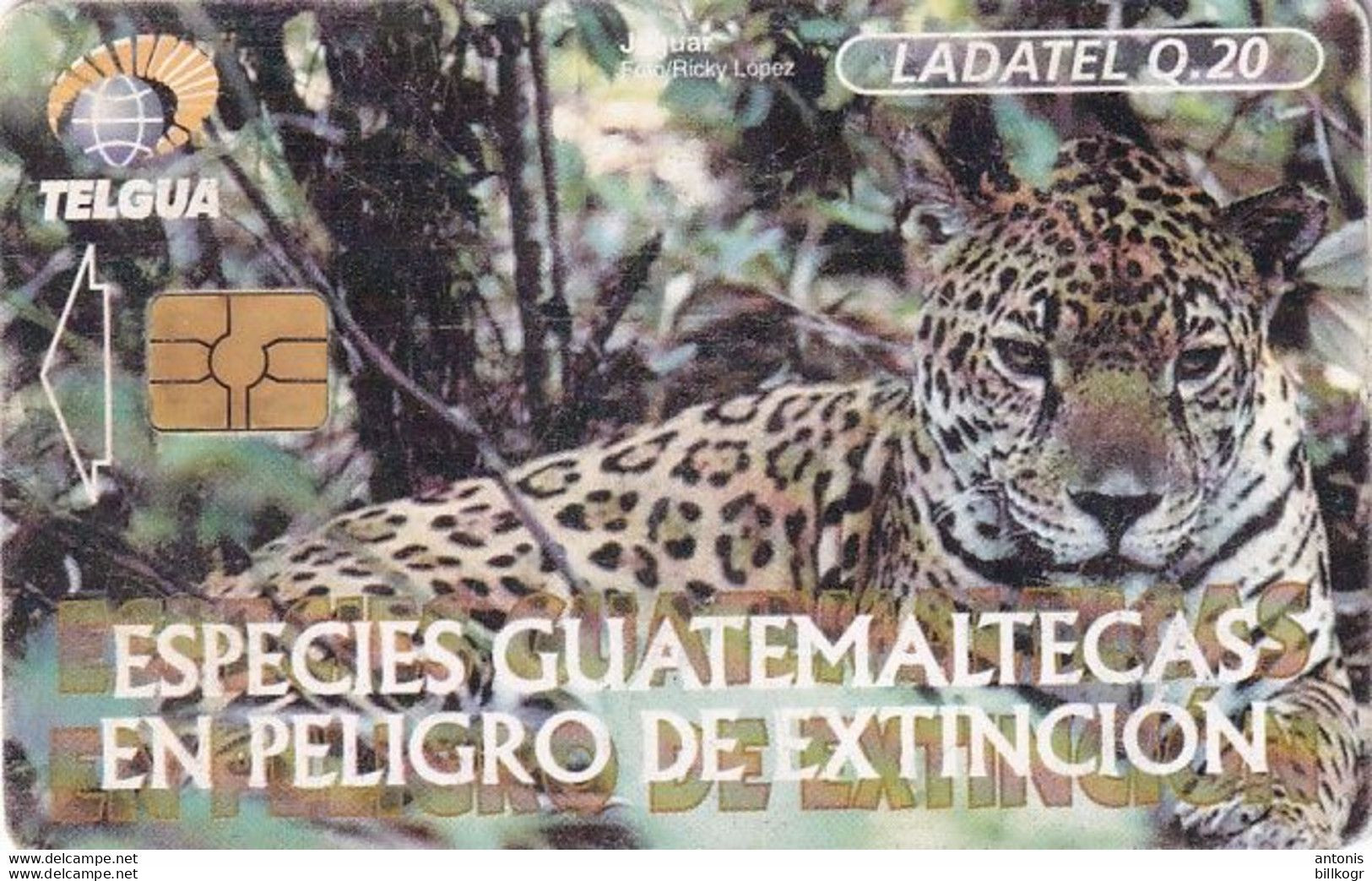 GUATEMALA - Animals Of Guatemala/Jaguar, Chip GEM3.1(black), Used - Féroé (Iles)