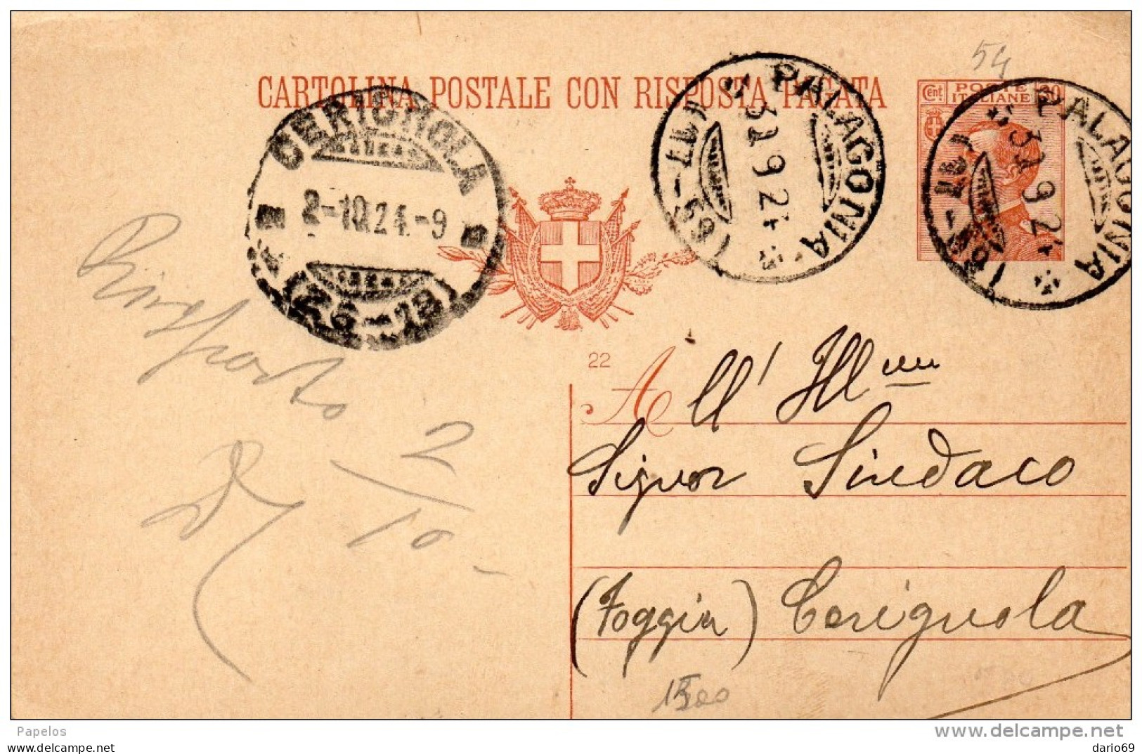 1924     CARTOLINA CON ANNULLO PALAGONIA  CATANIA - Postwaardestukken