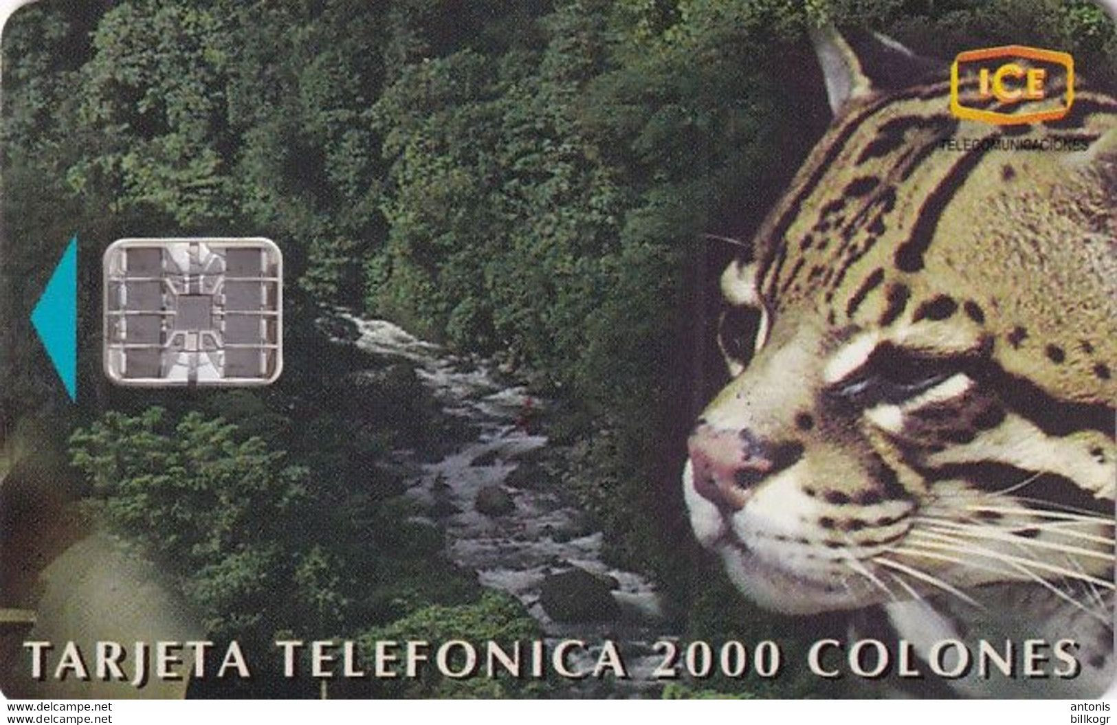 COSTA RICA - Puma, CN : C91500277, Tirage %35000, 01/99, Used - Costa Rica