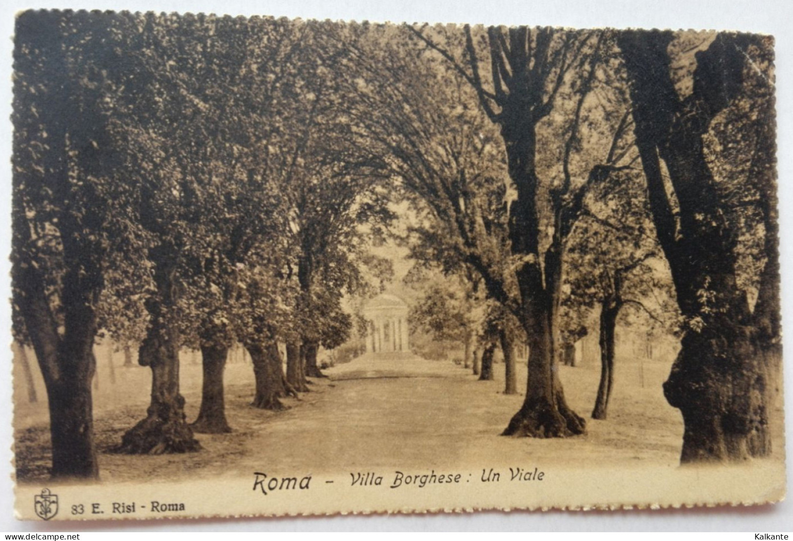 ROMA - 1908 - Villa Borghese: Un Viale - Parken & Tuinen