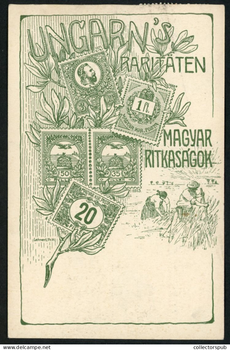 HUNGARY 1924. Nice Local Airmail Postcard - Covers & Documents