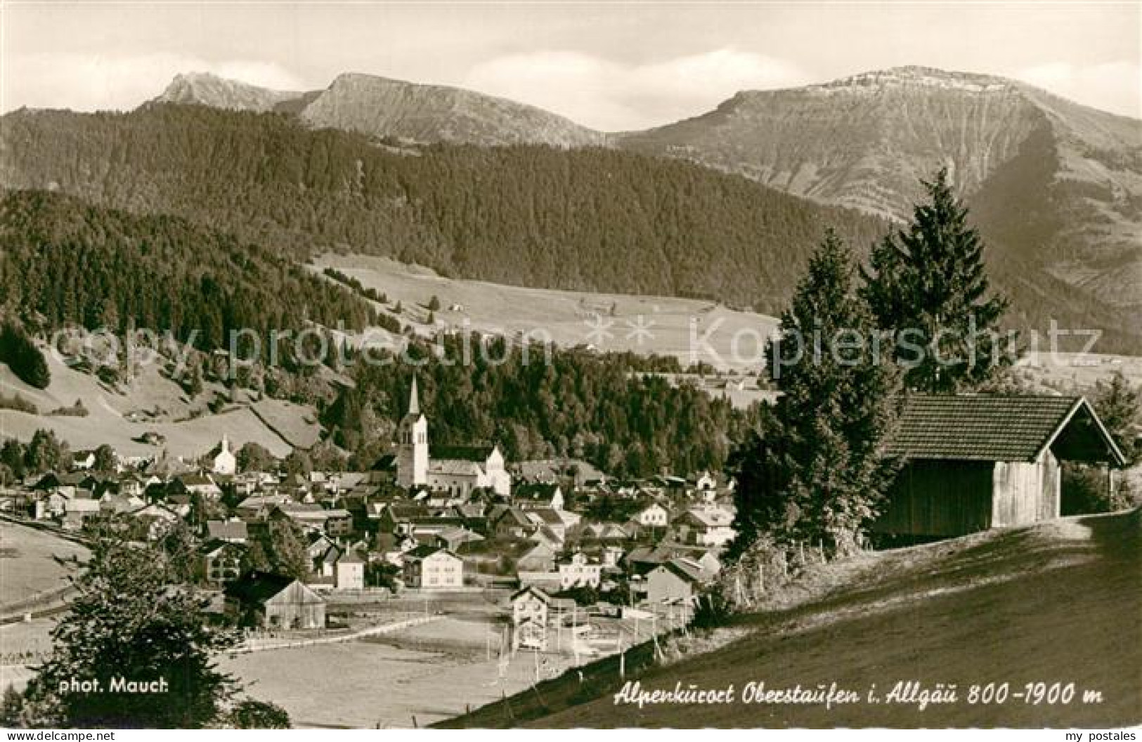 73331235 Oberstaufen Panorama Oberstaufen - Oberstaufen