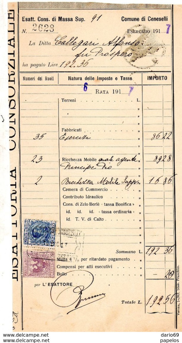 1917   ESATTORIA CONS. DI MASSA SUP. COMUNE DI CENESELLI - Italie