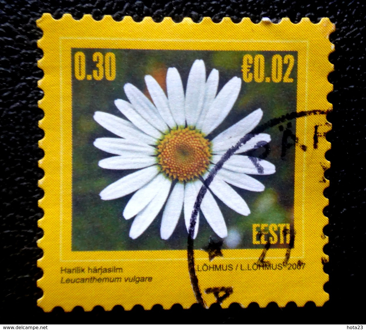(!) Flowers Estland , Estonia Estonia 2007 Mi 574 L Used Stamps  (o)  ALB - 62 - 19 - 6 - Estland