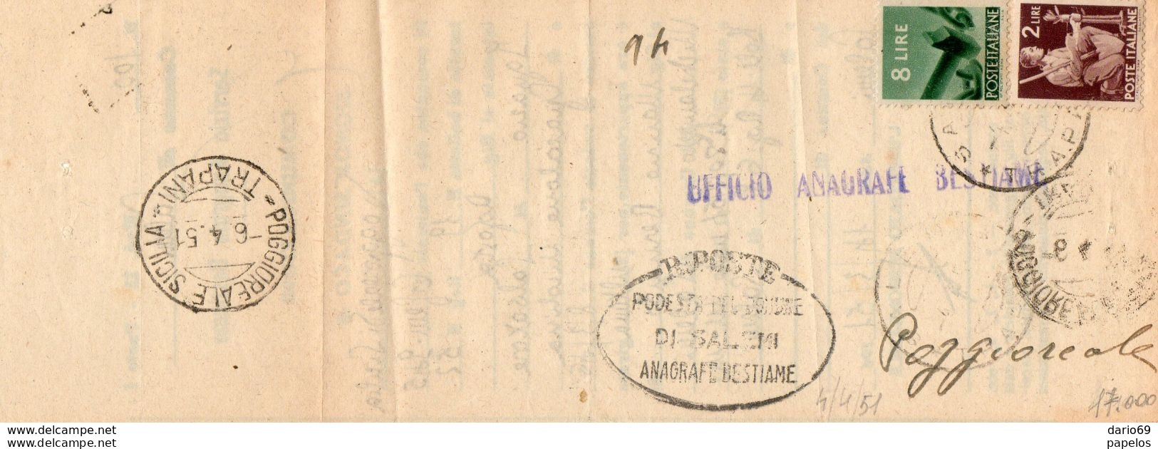 1951 MODULO ANAGRAFE BESTIAME CON ANNULLO POGGIOREALE TRAPANI - 1946-60: Storia Postale