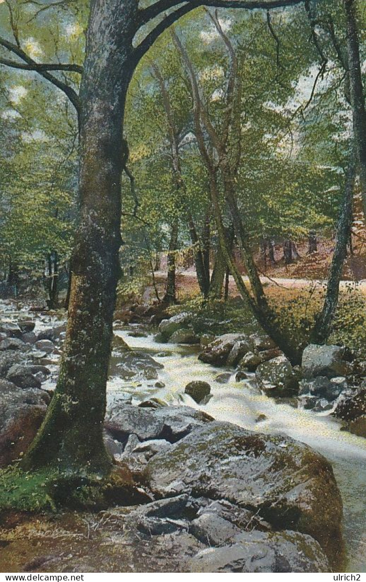 AK Ilsetal - Im Gebirgstal - 1910  (69186) - Ilsenburg