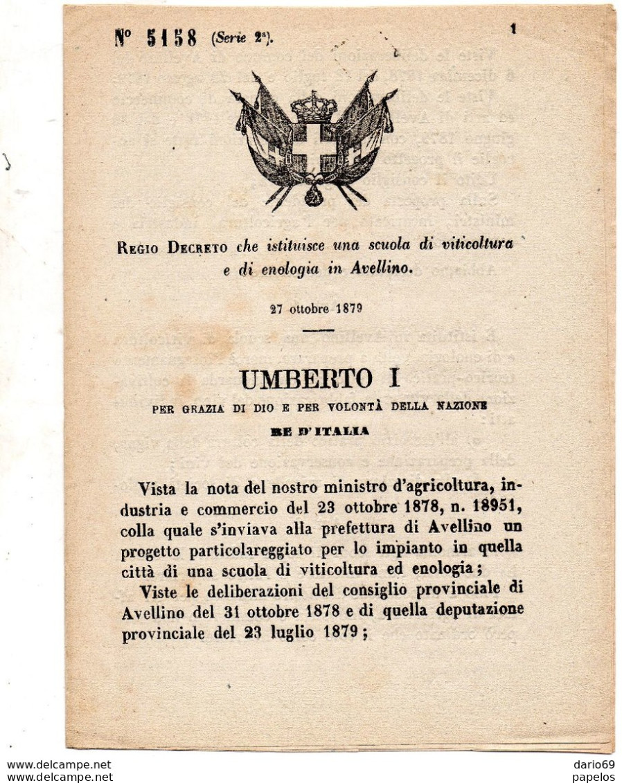 1879 DECRETO CHE ISTITUISCE UNA SCUOLA DI VITICULTURA E DI ENOLOGIA IN AVELLINO - Décrets & Lois