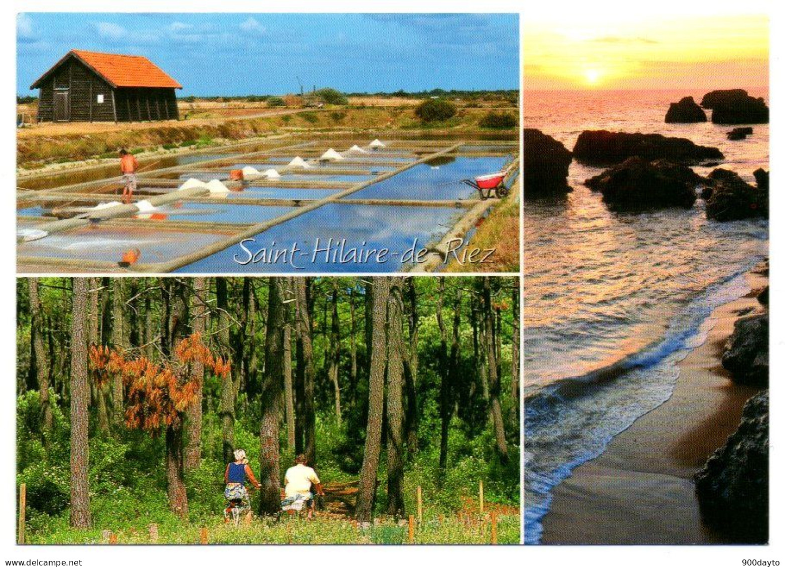 SAINT HILAIRE DE RIEZ. Les Marais Salants; La Forêt Domaniale; La Corniche. - Saint Hilaire De Riez